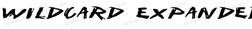 Wildcard Expanded Italic Expanded I字体转换
